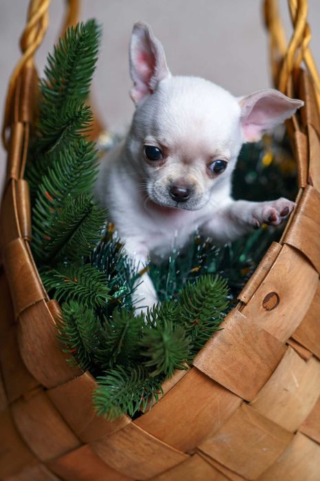 Некоторые встречи меняют жизнь навсегда.