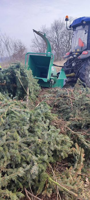 Zrębka liściasta, zrębka iglastą