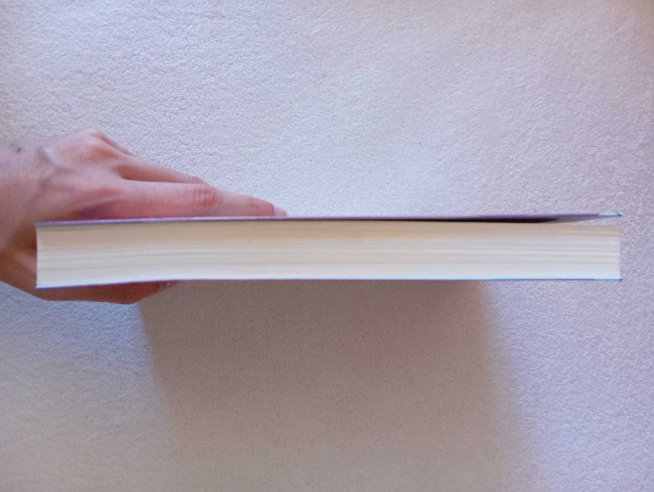 "Duas vidas num instante" de Dani Atkins