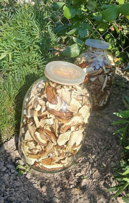 Білі гриби (мариновані, сушені)