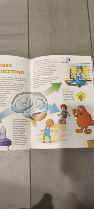 Livro era uma vez o corpo humano Cérebro