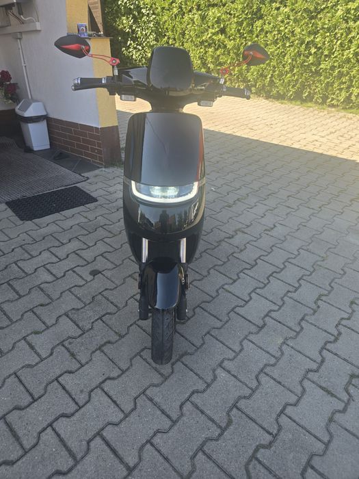 Norton
