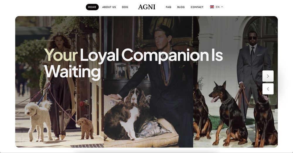 Разработка дизайна сайта, приложения, лого, создание логотипа