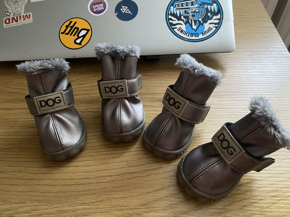 Черепички, сапоги для тварин собак
