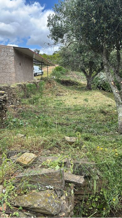 Limpeza de terrenos/quintais