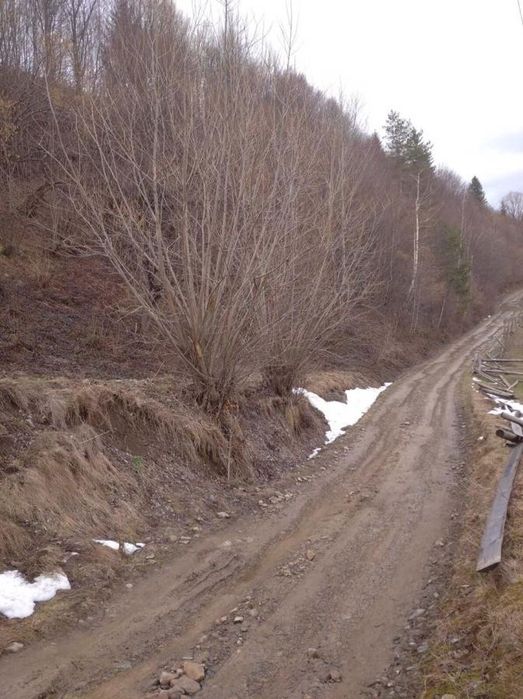 Ділянка у гірській місцевості с.Микуличин пл. 46 сот, гарне планування