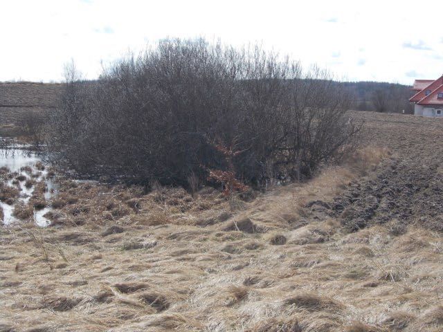 Teren 0,3166 ha pod mazurskie rancho - Widok 5
