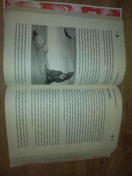 Людина розумна.Ювал Ной Харарі.