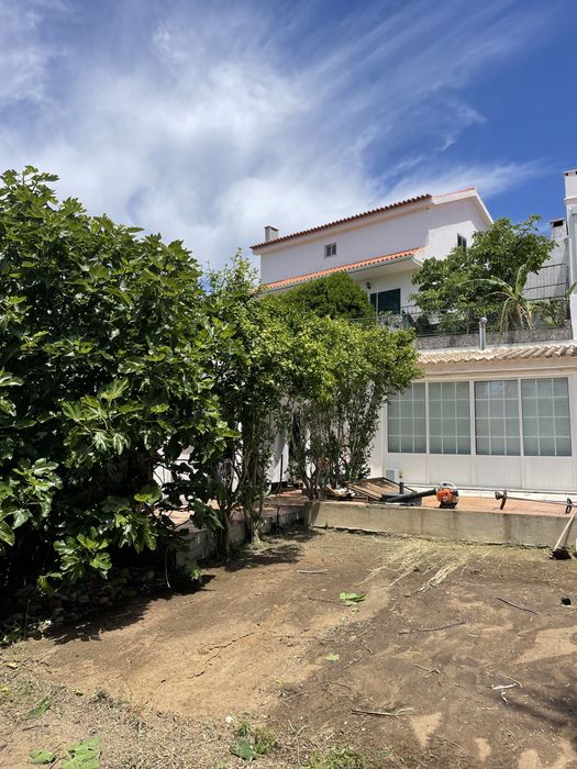 Limpieza de terrenos