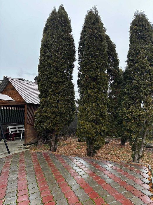 Дом по адресу ул. Китобойная (площадь 160 м²) - Atlanta.ua - фото 23