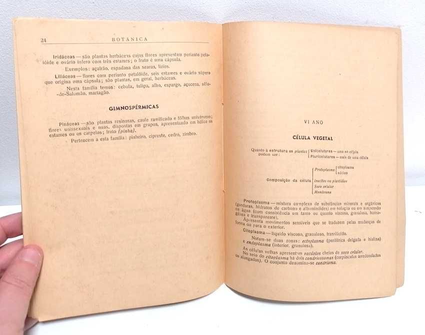 Botânica Simplificada em Quadros para o Curso Geral dos Liceus