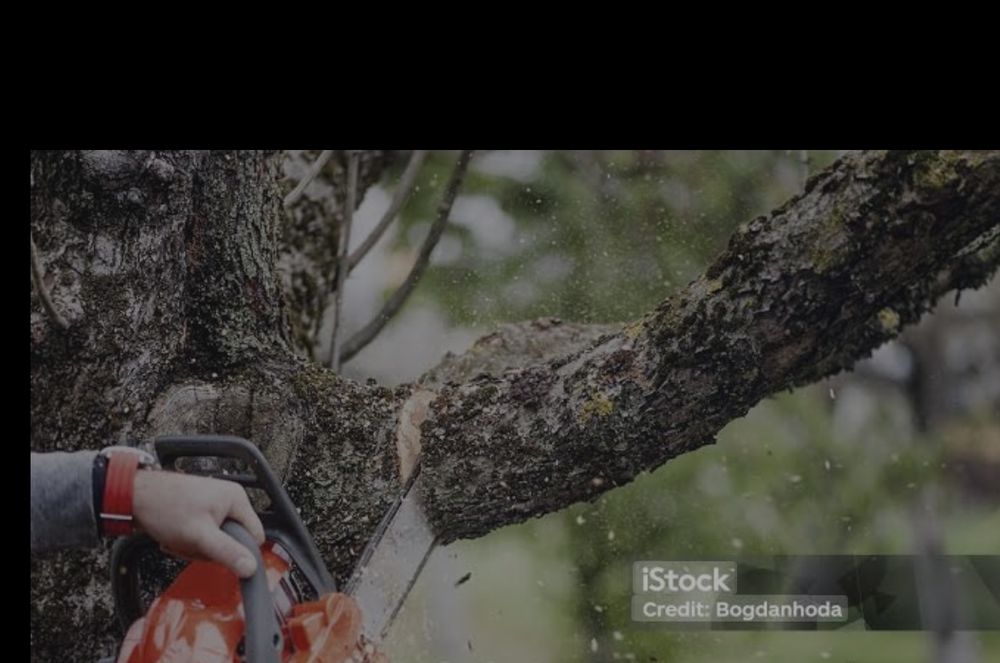 Зрізаємо дерева . Послуга вантажника