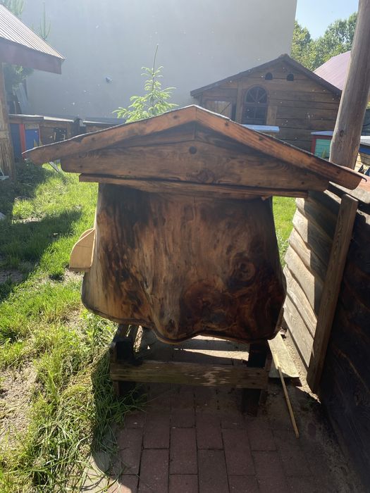 Barc ul z pszczolami i miodem