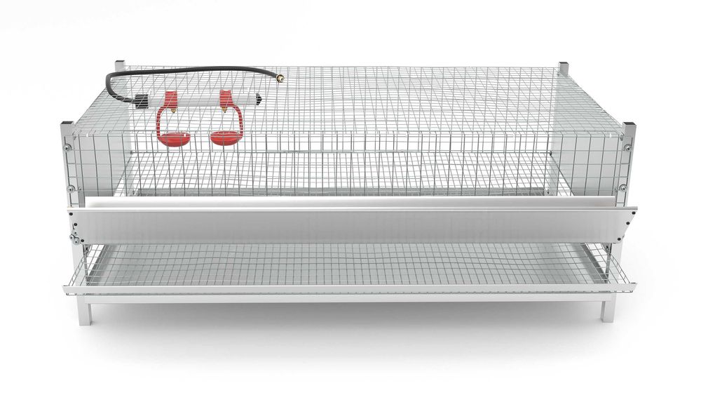 klatka dla przepiórek