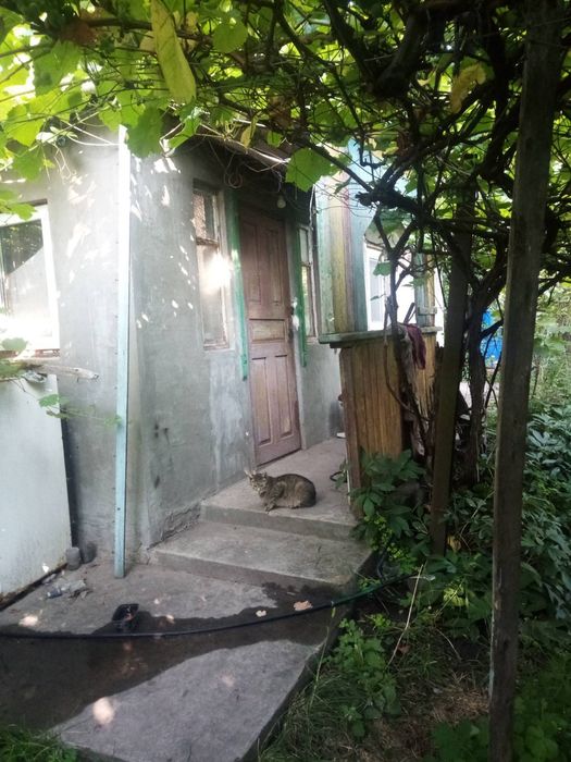 Будиночок в селі Хацьки 20 соток землі приватизованих