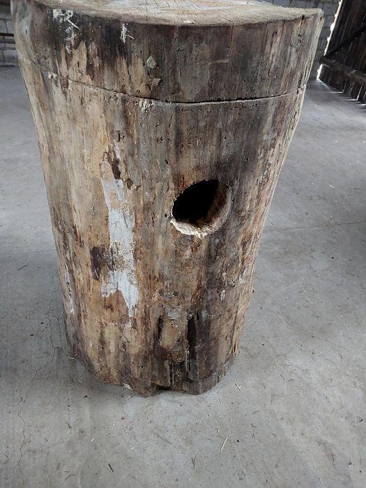 Buda legowa, kaczki, ary, kakadu, amazonki.