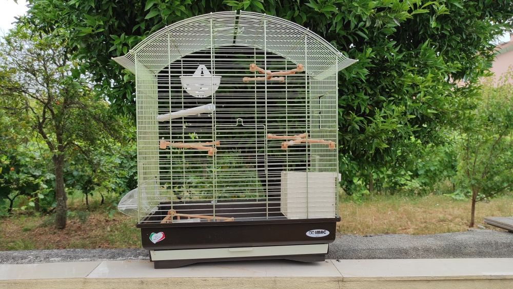 Gaiola para passaros