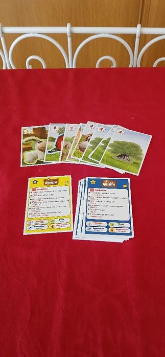 Cartas Amigos da Quinta, novas