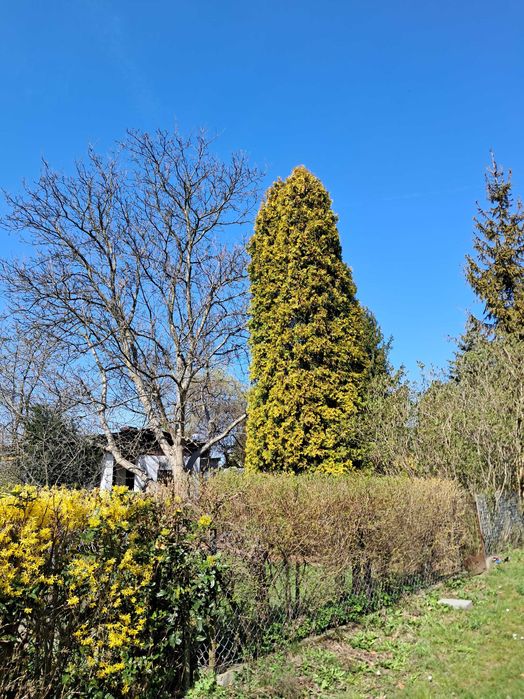 ROD Energetyk działka rekreacyjna