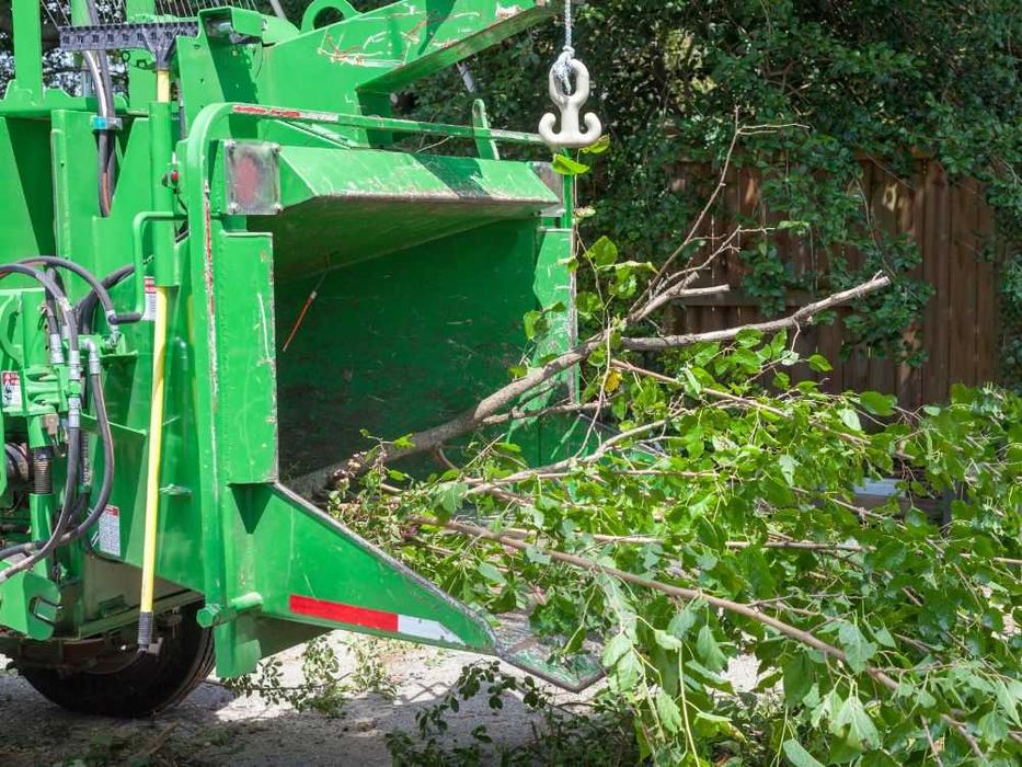 Usługi ogrodnicze, czyszczenie nieurzytków