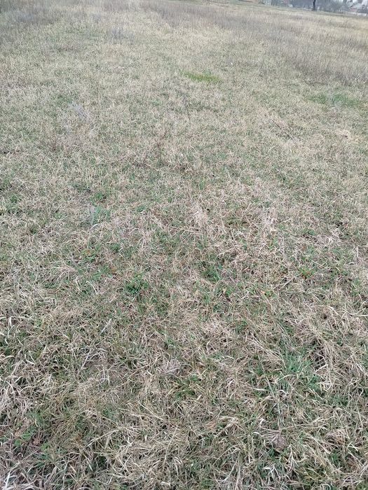 Продам земельну ділянку