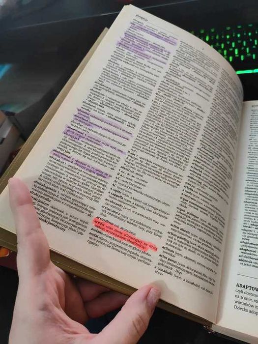 Słownik 100 tysięcy potrzebnych słów PWN Bralczyk
