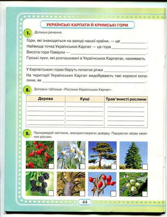 Сканер Epson Perfection V37