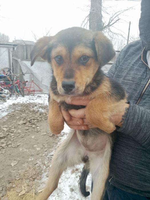 Мрію про люблячу родину!