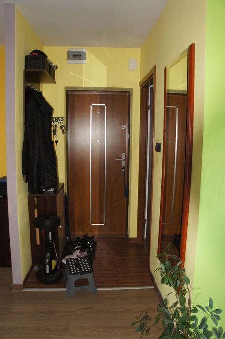Mieszkanie w bloku 52,9 m²