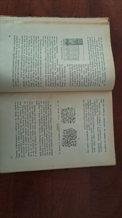 J. Bormann "Budowa i życie zwierzęcia"