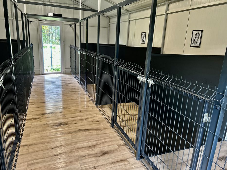 Hotel dla psów miejsce z pasją  i  Kociroom