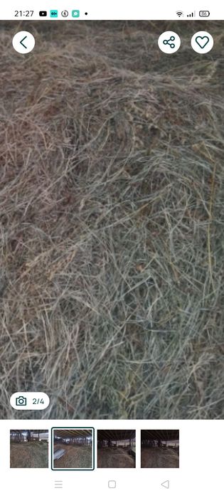 Продам сіно різнотравя