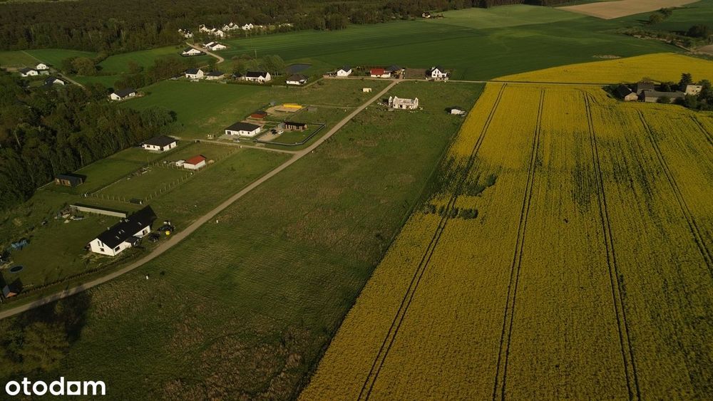 KOPANINA Działka budowlana + Domek Całoroczny Wyposażony - View 5