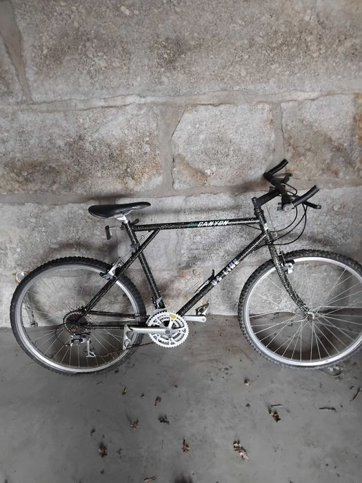 Bicicleta profissional