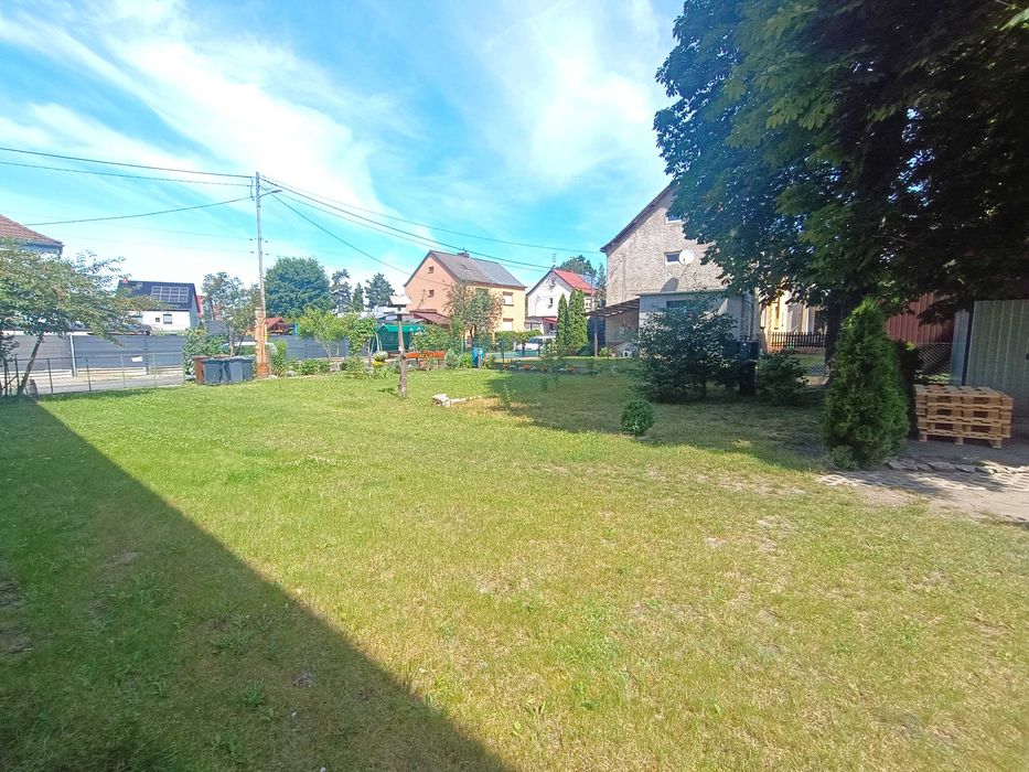 Zdjęcie 8