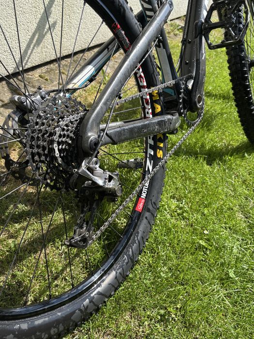 Santa cruz 5010 c