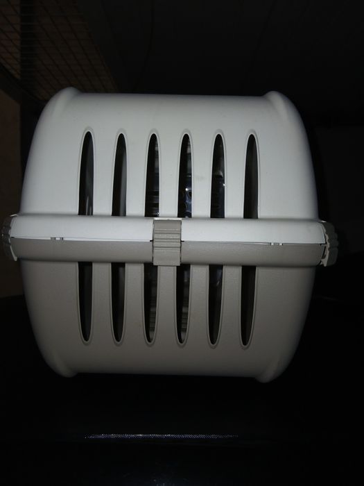 Liteira, transporte + sofá gatos