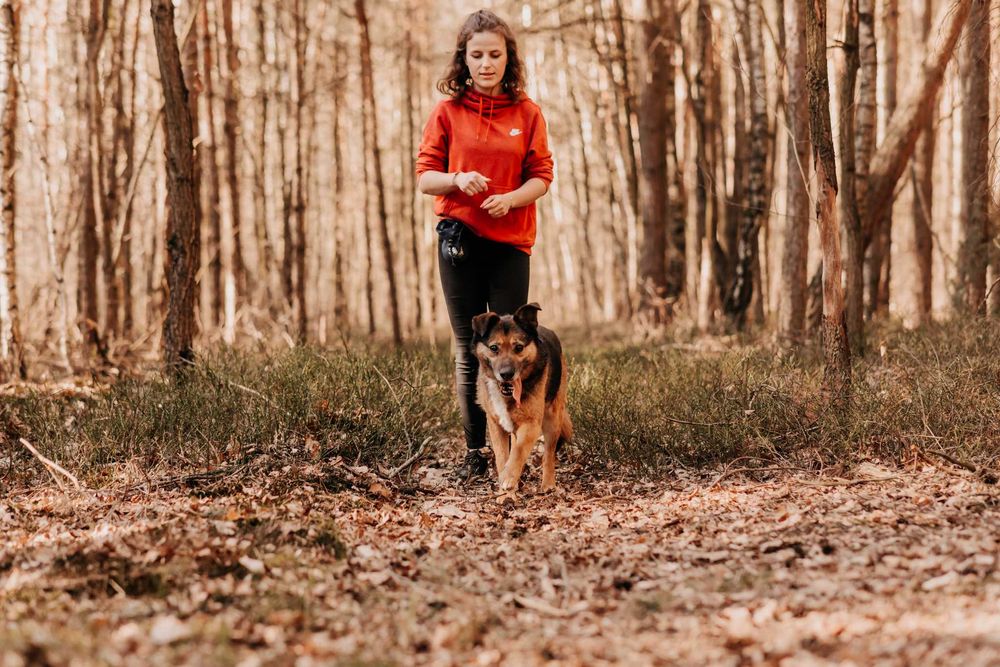 Mega pozytywny pieszczoch Gringo poleca się do adopcji!!!