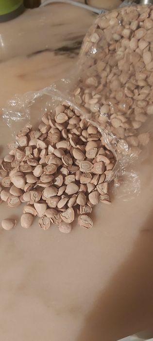 Nós da índia otimo emagrecedor. 25 sementes cortadas em 4 partes .