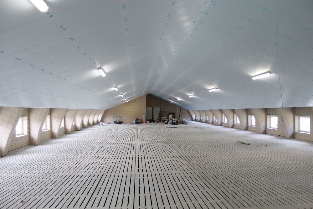 Izolacja Ocieplenie Podsufitka Podbitka Tuczarni Styrodur XPS AGRO