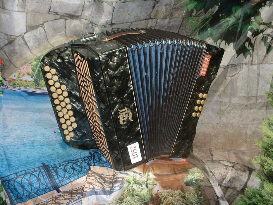 Promoção de Acordeões de concertinas