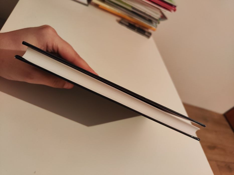 Dwory i pałace wiejskie w Wielkopolsce Przewodnik - Marcin Libicki