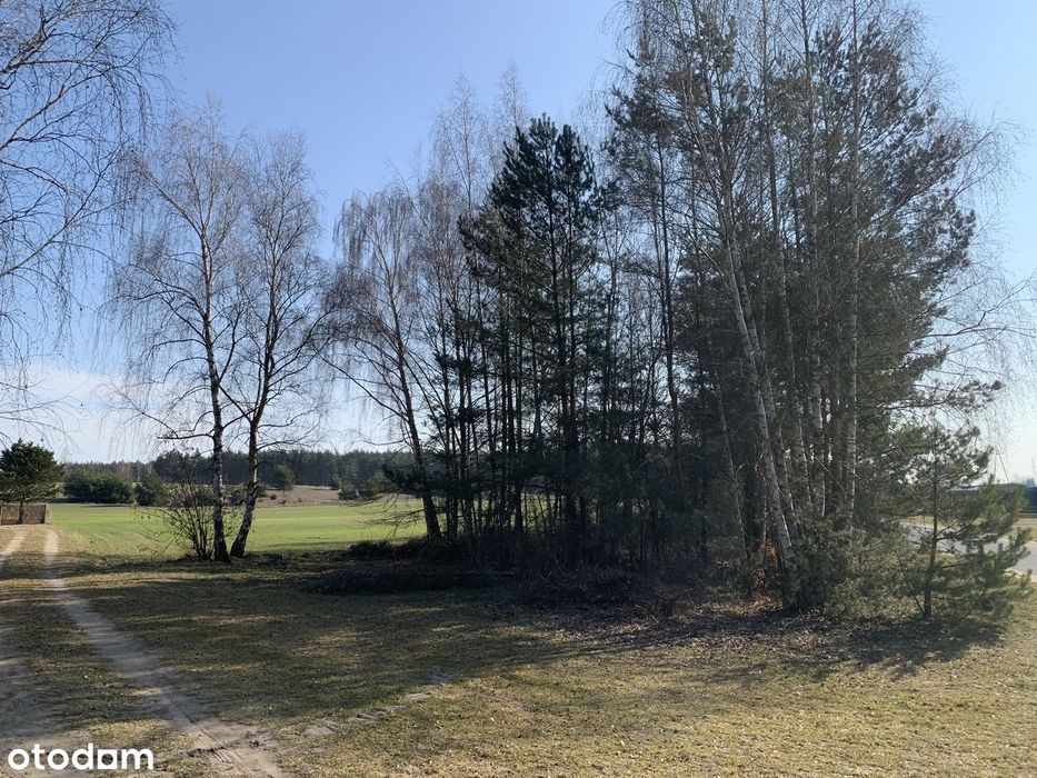 Działka nad najczystszym jeziorem w Polsce-Tręby Stare 481m2 lub 686m2