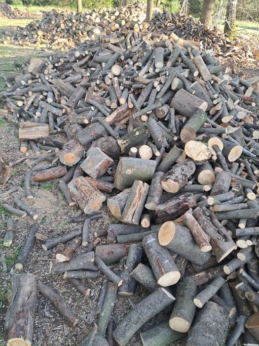 Sprzedam drewno gałęziówke