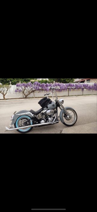 Harley davidson  chicano stely