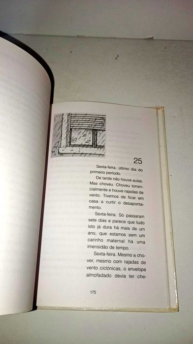 Fora de Serviço - António Mota