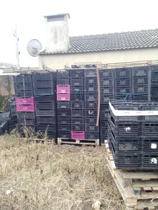 Caixas para Horta 750