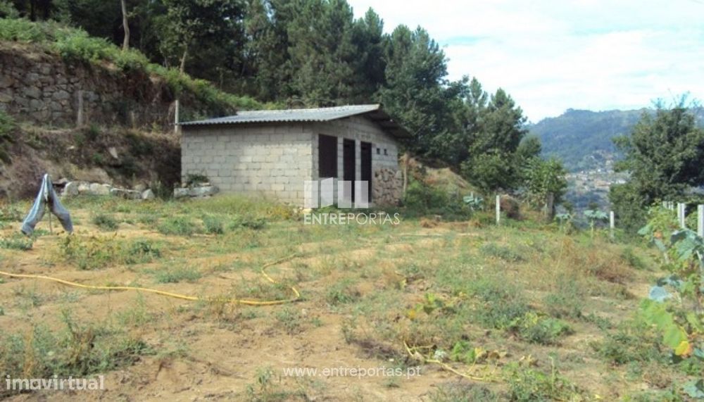 Venda Terreno, Santiago de Piães, Cinfães