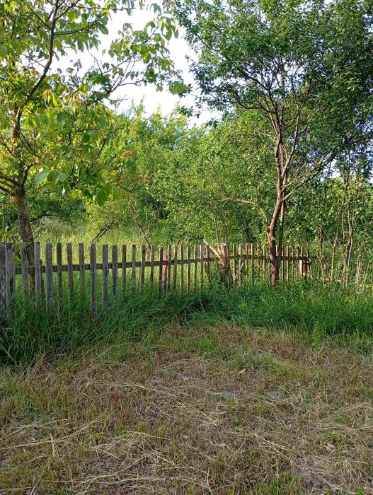 Будинок садиба біля лісу