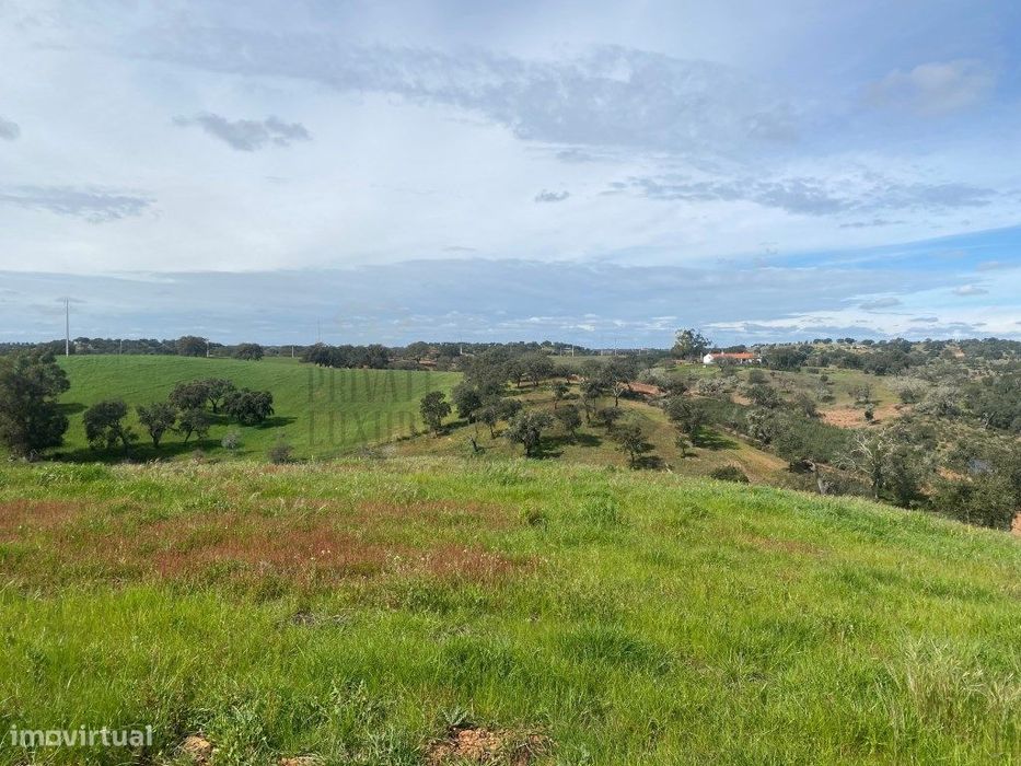 Terreno Rustico com Olival em Vila Nova de São Bento - Serpa
